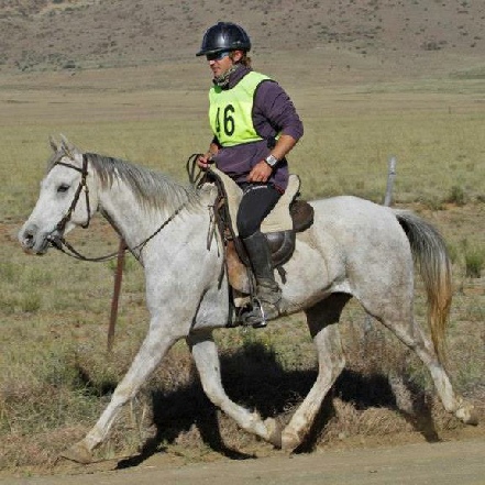 What Is Endurance Riding