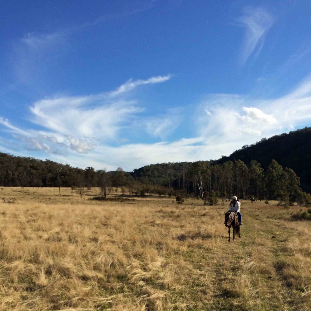 Horse Riding In The Australian Bush