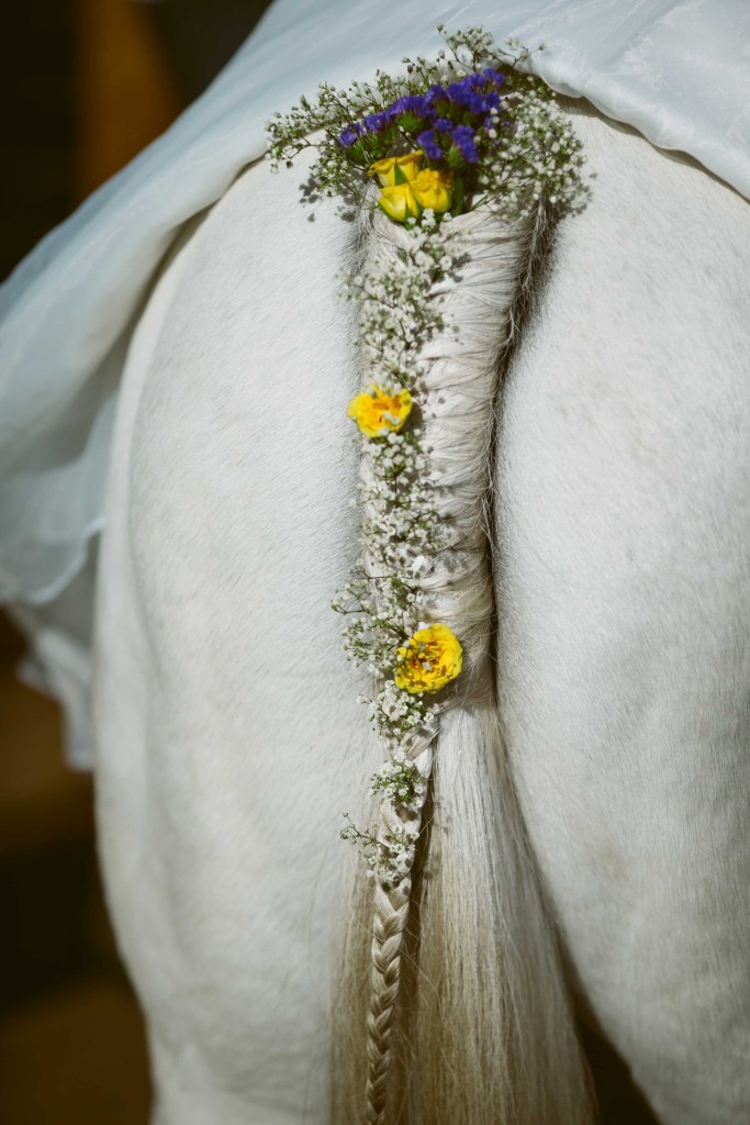 Flowers in Pippa's tail - looks gorgeous!