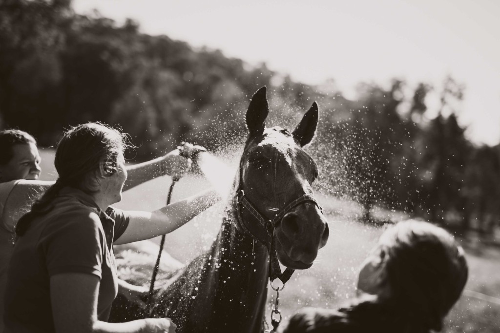 Kate absolutely loves being hosed off - and the Wedding preparations were no different!