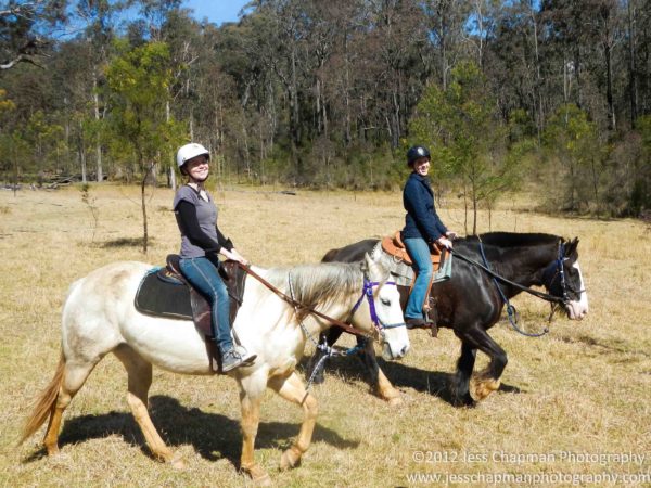 Horse Riding Near Sydney