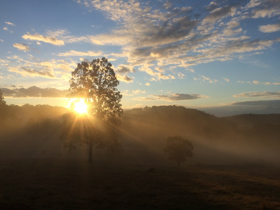 Camping NSW