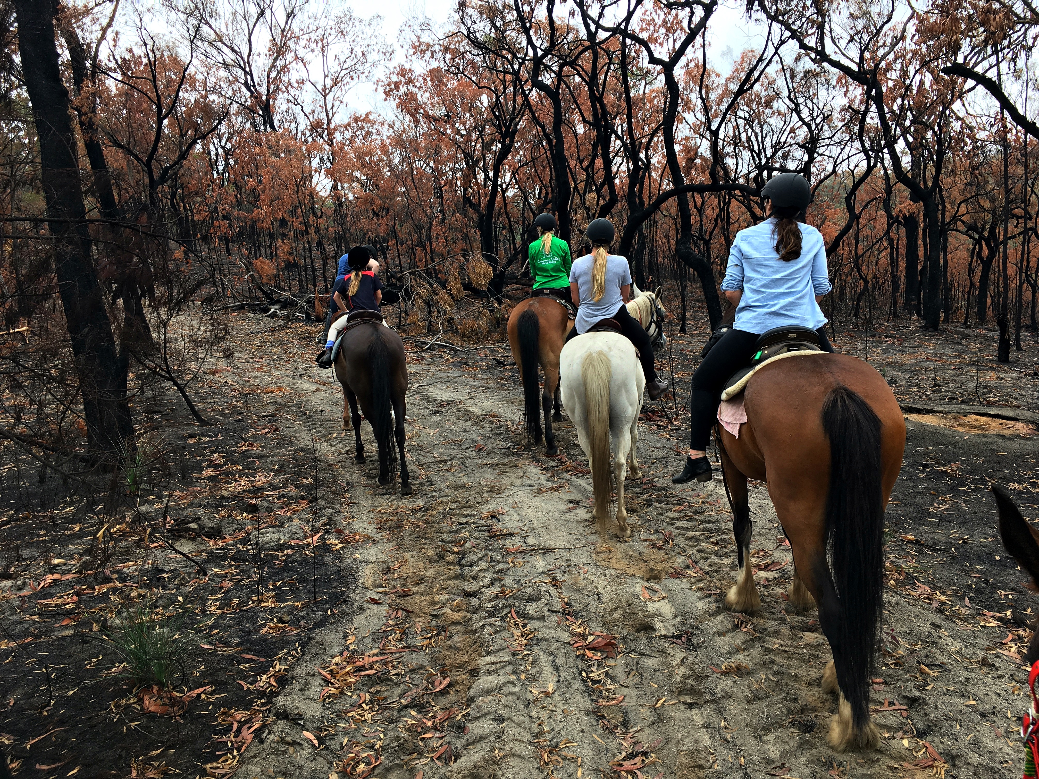Chapman Valley Horse Riding Re-opened For 2020: Your Bushfire Questions Answered!